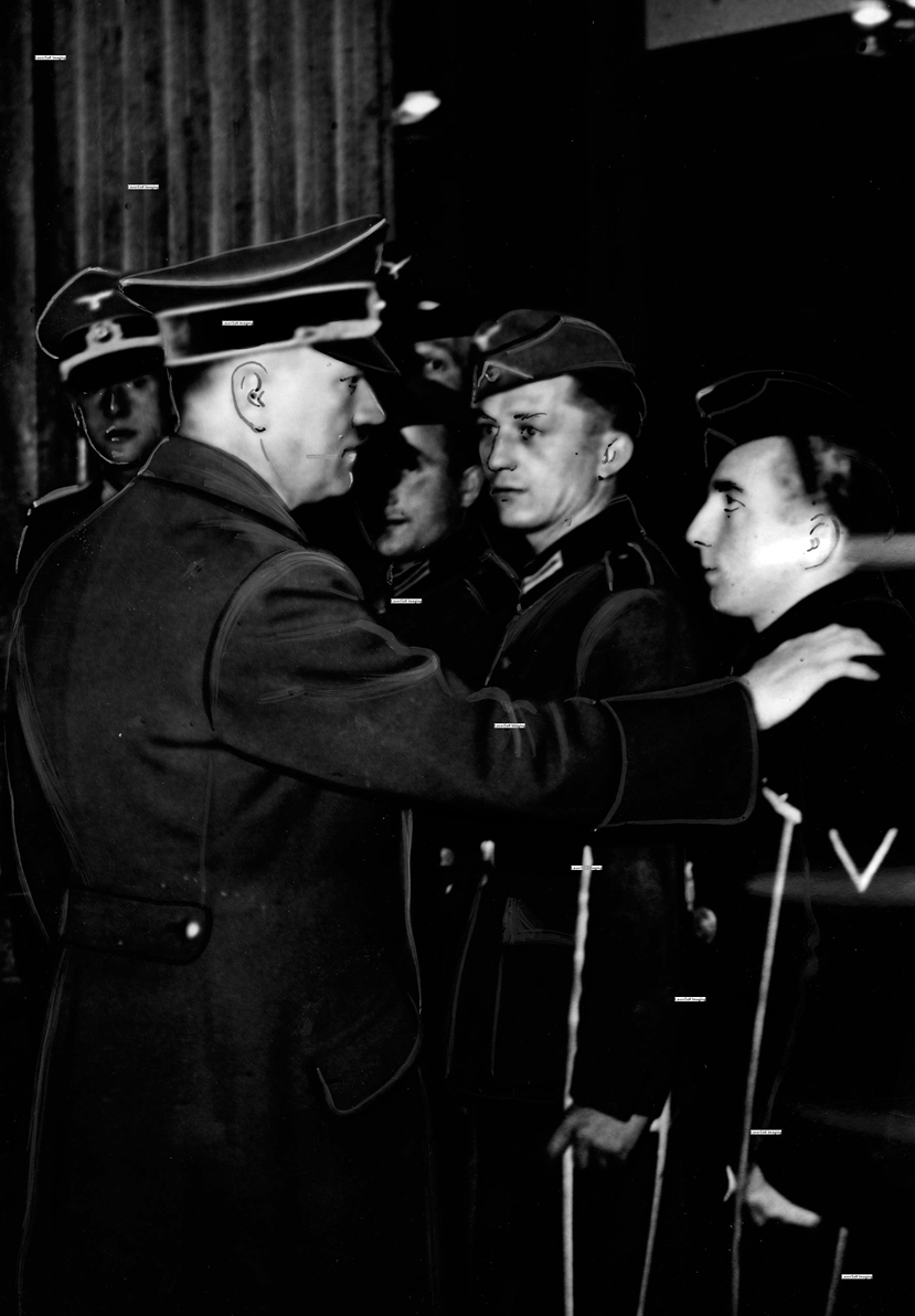 Adolf Hitler receives Austrian wounded soldiers in Vienna
